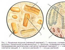 Микроскопическое и биохимическое исследование кала Исследование кала
