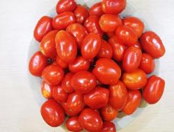 Tomatjuice genom en juicepress för vintern: snabba och enkla recept
