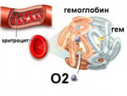 Punasolut - Punasolutyypit - Erytrosytopoeesi Mikä on punasolujen elastisuutta lisäävän asian nimi