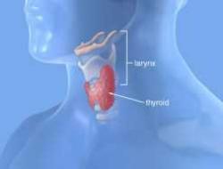 Le të njihemi me interpretimin e analizës për hormonet e tiroides