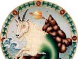 Listopadowy znak zodiaku Koziorożec Horoskop Koziorożec na listopadowy rok koguta